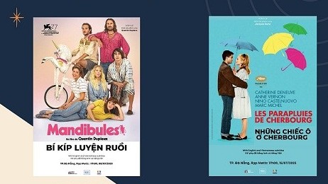 Điểm hẹn Điện ảnh Pháp tại thành phố Đà Nẵng