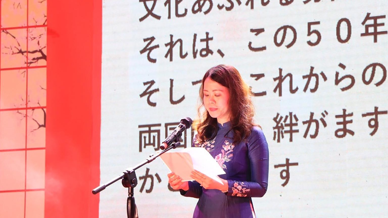 Khai mạc Lễ hội Việt Nam-Nhật Bản năm 2023 tại thành phố Đà Nẵng