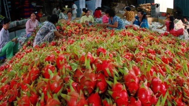 Xuất khẩu ngày 14-16/7: Thụy Sỹ bất ngờ tăng mua cà phê từ Việt Nam; xuất khẩu rau quả 7 tháng dự báo vượt cả năm 2022