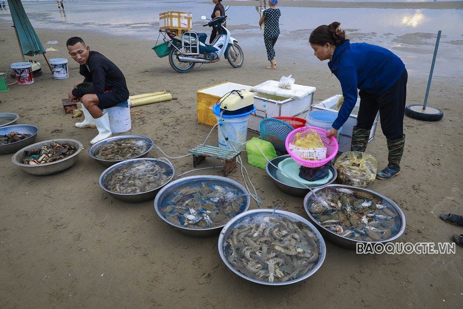Chợ hải sản buổi bình minh