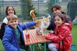 Thổ Nhĩ Kỳ: Ghé thăm thị trấn yên bình của những chú mèo hoang