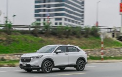 Ô tô Thái Lan chiếm gần 50% tổng số lượng xe nhập khẩu vào Việt Nam