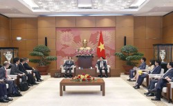 Việt Nam-Nhật Bản có nhiều tiềm năng trong phát triển điện sinh khối