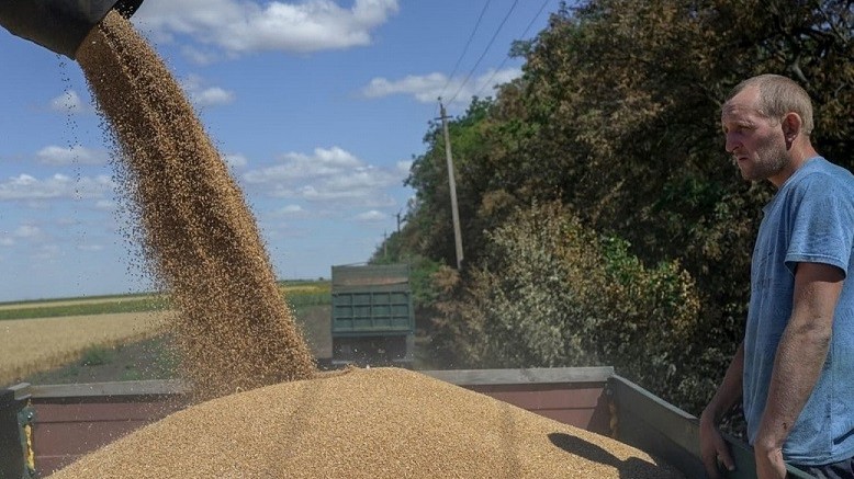 Rút khỏi thỏa thuận ngũ cốc với Ukraine, các công ty Nga sẽ 'hốt bạc' nhiều hơn