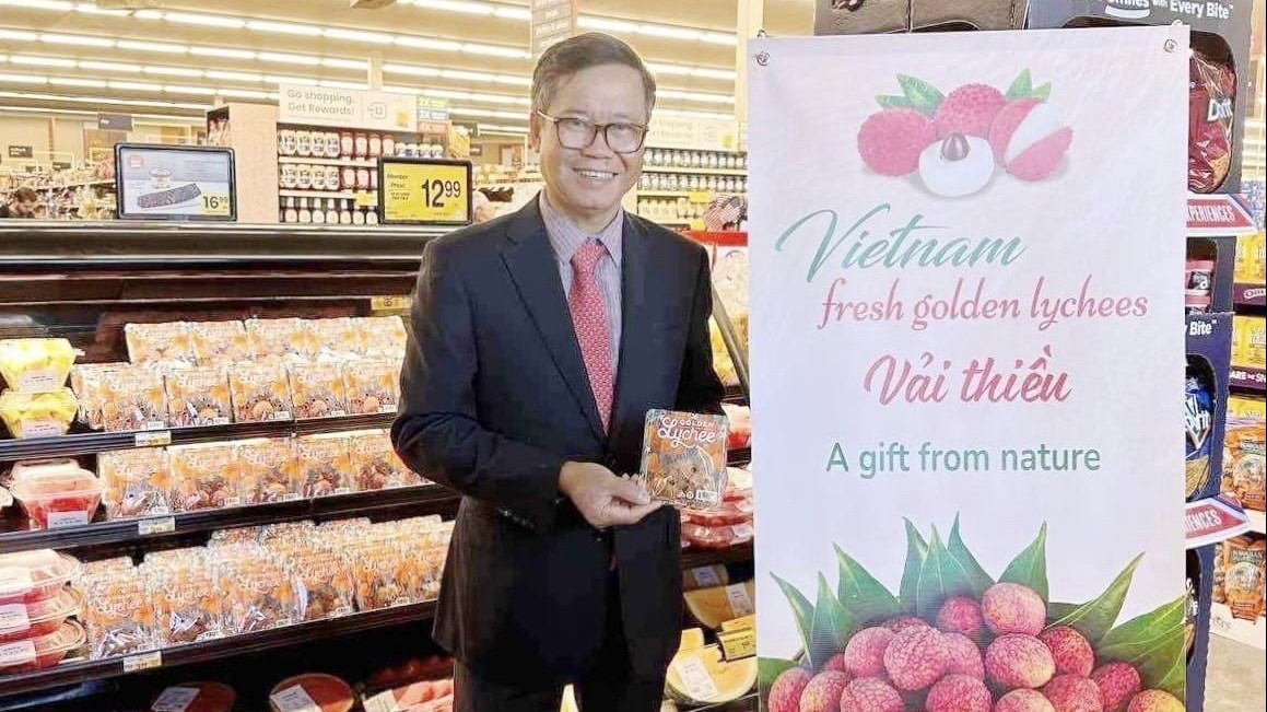 Tổng Lãnh sự Hoàng Anh Tuấn: Luôn nỗ lực 'chắp cánh' khát vọng Việt Nam vươn xa