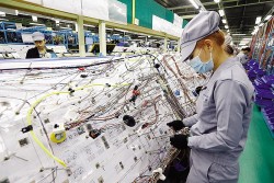 Thúc đẩy các động lực tăng trưởng mới của nền kinh tế