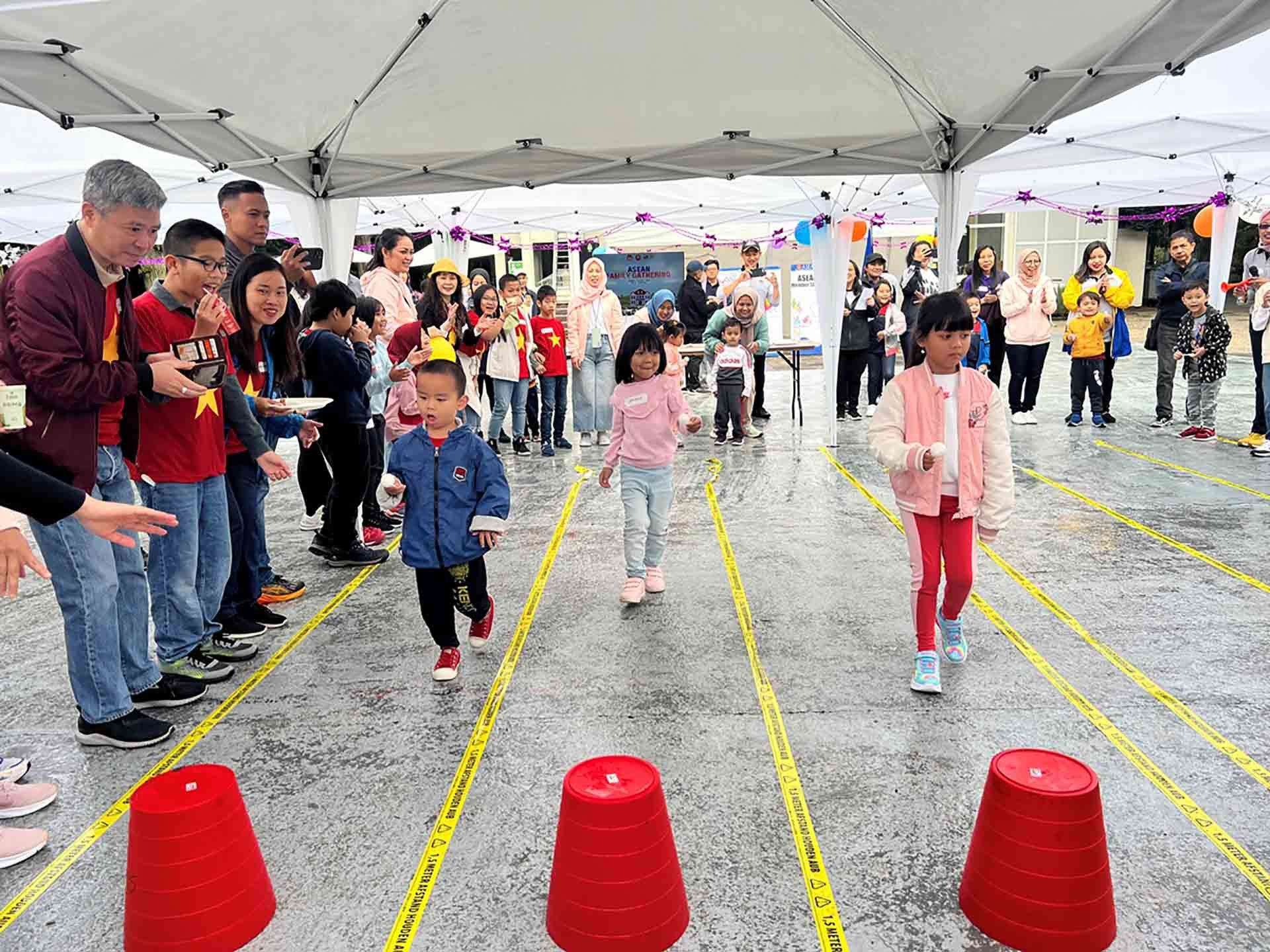 Kỷ niệm 56 năm ngày thành lập ASEAN tại Hà Lan