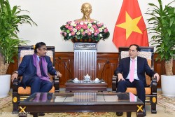 Bộ trưởng Ngoại giao Bùi Thanh Sơn tiếp tân Đại sứ Sri Lanka Sajeewa Umanga Mendis