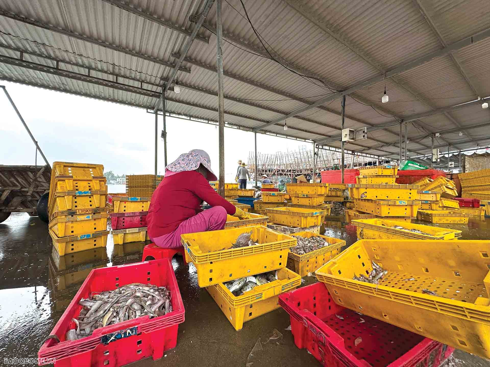 Để ngư dân mạnh dạn vươn biển xa