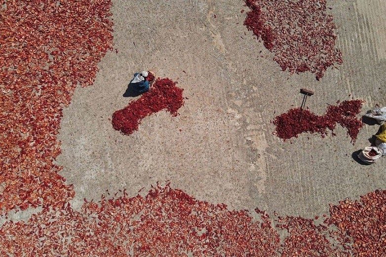 Ảnh ấn tượng (7 13/8): Ông Putin nói về ‘đòn đánh uy lực’ của Nga, ra lệnh tăng sản xuất UAV tự sát; lính Ukraine khai hỏa lựu pháo Mỹ M109; đảo chính