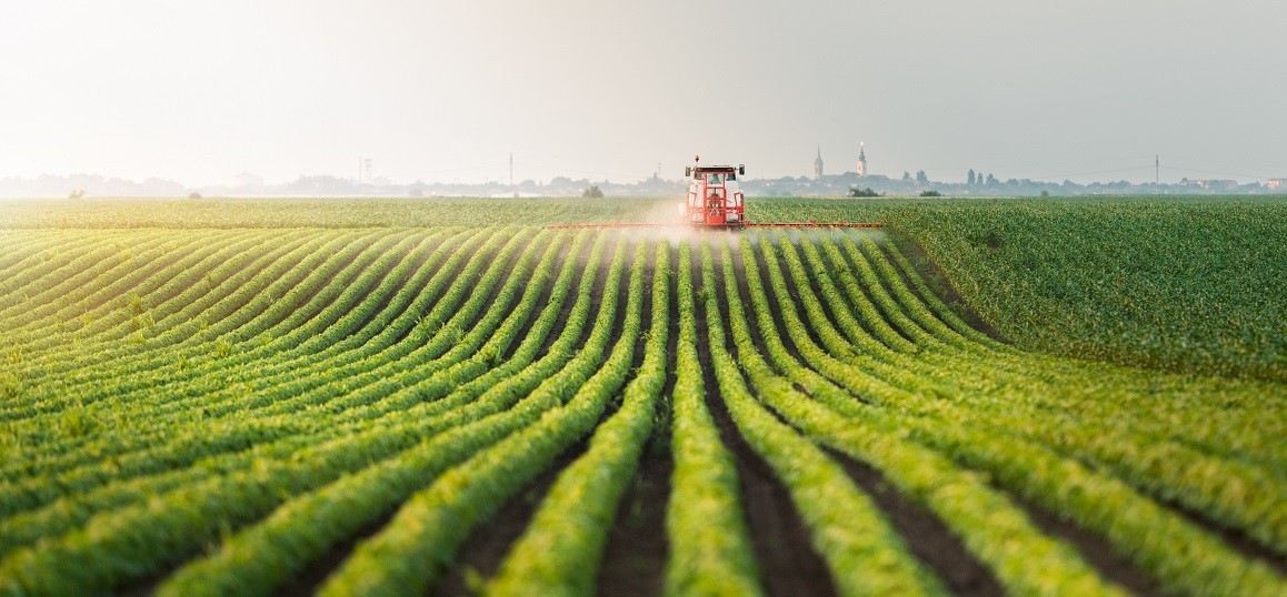 Khai thác bản lĩnh Việt MIF - Khai thác bản lĩnh Việt