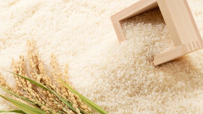 Không riêng gạo, nhiều mặt hàng nông sản xuất khẩu cũng đua nhau tăng mạnh, lập kỷ lục lịch sử