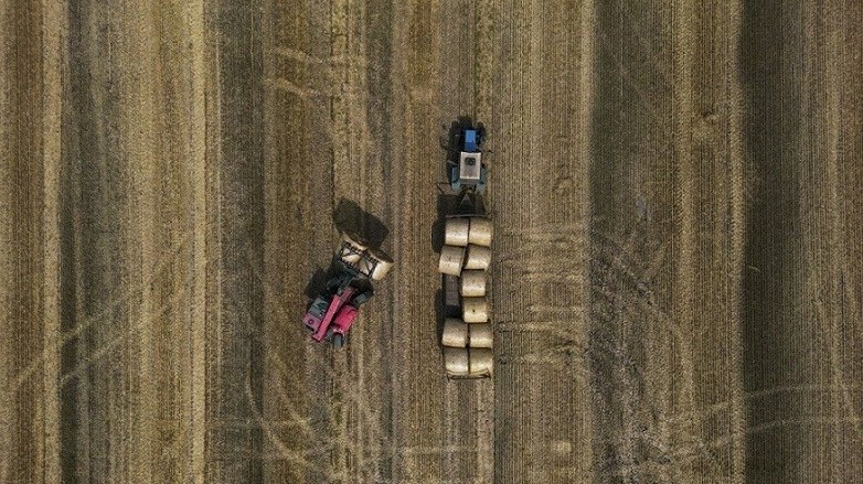 Bất chấp quyết định của EC, ba nước EU đi 'đường riêng' trong vấn đề nhập ngũ cốc Ukraine