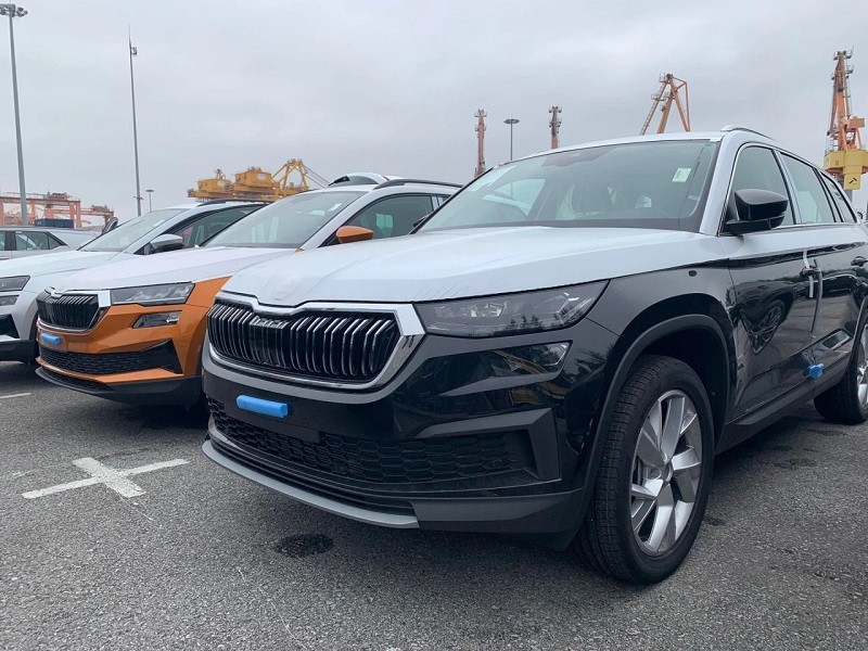 Bộ đôi Skoda Karoq và Kodiaq là hai trong số các mẫu xe mới sẽ ra mắt thị trường trong tháng 9 tới.