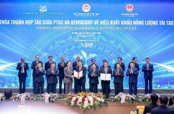 Liên danh PTSC - Sembcorp được cấp phép khảo sát biển cho Dự án điện gió ngoài khơi, xuất khẩu điện sang Singapore