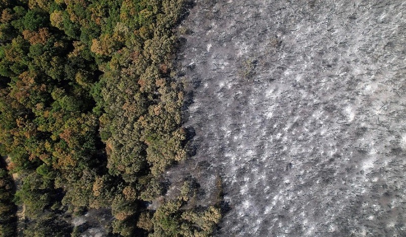 Ảnh ấn tượng (28/8-3/9): Đề cập Thế chiến II, ông Putin nói Nga ‘bất khả chiến bại’, tên lửa ở thủ đô Ukraine, Mỹ ủng hộ một quyết định của Nhật