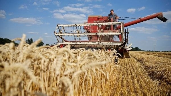 Thổ Nhĩ Kỳ và NATO bàn cách 'hồi sinh' thỏa thuận ngũ cốc; Ukraine không ủng hộ việc 'nhân nhượng' Nga