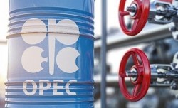 Giá xăng dầu hôm nay 3/12: Tuần giảm tốc không phanh