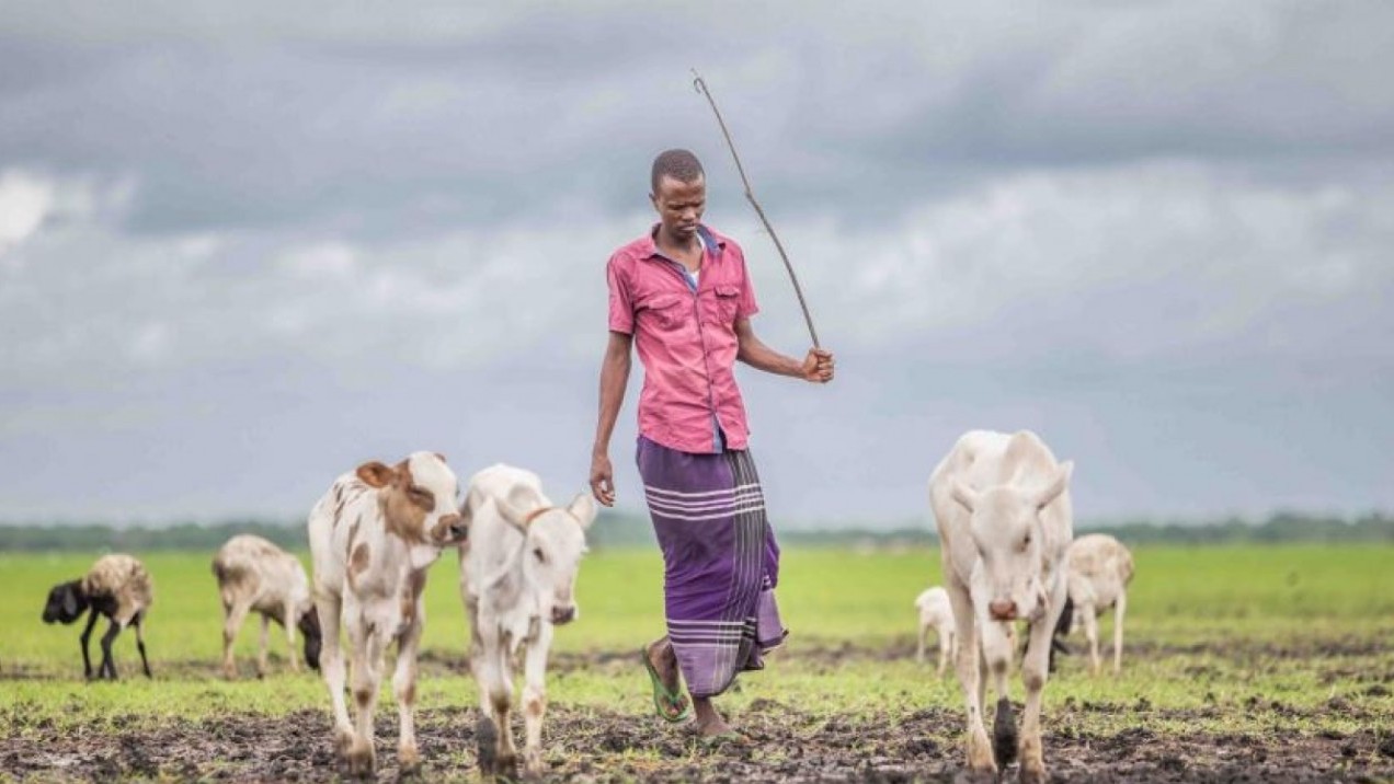 Châu Phi tìm tiếng nói chung cho cuộc chiến chống biến đổi khí hậu