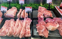 Giá heo hơi hôm nay 20/2: Giá heo hơi điều chỉnh nhẹ, nhu cầu tiêu thụ thịt heo giảm sau Tết