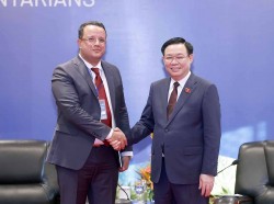 Việt Nam-Algeria thúc đẩy hợp tác kinh tế xứng tầm với quan hệ chính trị