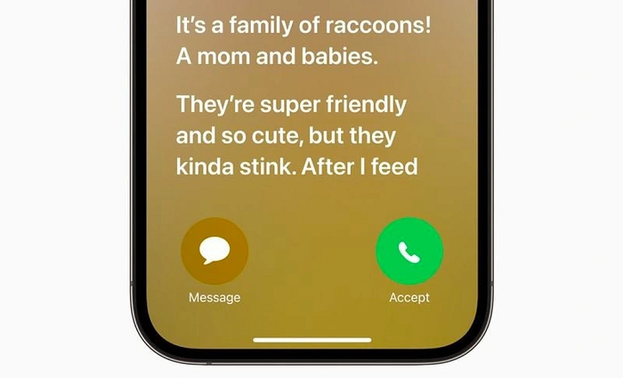 Live Voicemail: Đây là tính năng thư thoại hoàn toàn mới trên bản cập nhật iOS 17. Tính năng mới này cho phép người dùng có thể chuyển cuộc gọi thành tin nhắn và được hiển thị trực tiếp ngay ở trên màn hình. Trong trường hợp không thể nghe điện thoại, người dùng vẫn có thể nắm bắt các thông tin quan trọng từ cuộc gọi đó. Live Voicemail: Đây là tính năng thư thoại hoàn toàn mới trên bản cập nhật iOS 17. Tính năng mới này cho phép người dùng có thể chuyển cuộc gọi thành tin nhắn và được hiển thị trực tiếp ngay ở trên màn hình. Trong trường hợp không thể nghe điện thoại, ngư