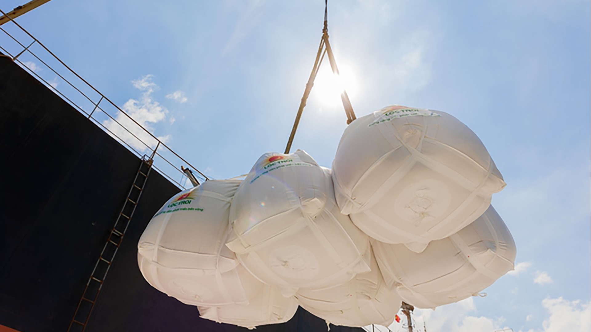 An ninh lương thực toàn cầu: Bình thường mới thời khủng hoảng lúa gạo