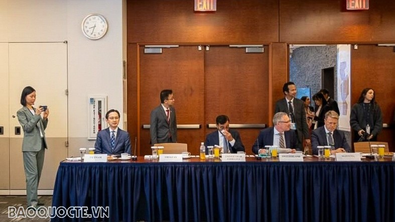 Việt Nam đề xuất bốn trọng tâm đối với hợp tác của 3G và G20