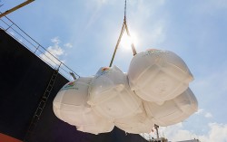 An ninh lương thực toàn cầu: Bình thường mới thời khủng hoảng lúa gạo