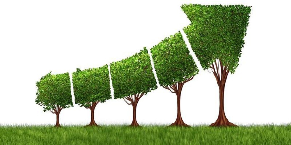 Xây dựng thương hiệu quốc gia xanh Việt Nam: Cơ hội và thách thức. (Nguồn: Shutterstock) Xây dựng thương hiệu quốc gia xanh Việt Nam: Cơ hội và thách thức. (Nguồn: Shutterstock)