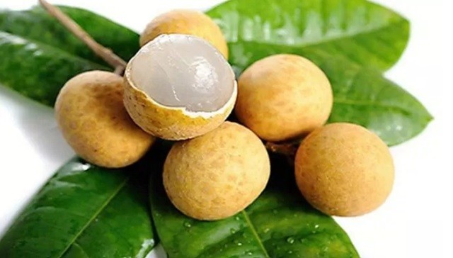 Tìm hiểu 5 thực phẩm bổ dưỡng có trong mùa Thu, nâng cao khả năng miễn dịch Tìm hiểu 5 thực phẩm bổ dưỡng có trong mùa Thu, nâng cao khả năng miễn dịch