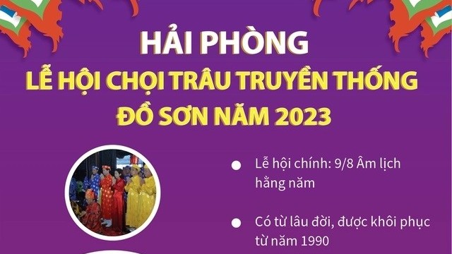 Hôm nay 23/9, bắt đầu diễn ra Lễ hội chọi trâu truyền thống Đồ Sơn năm 2023