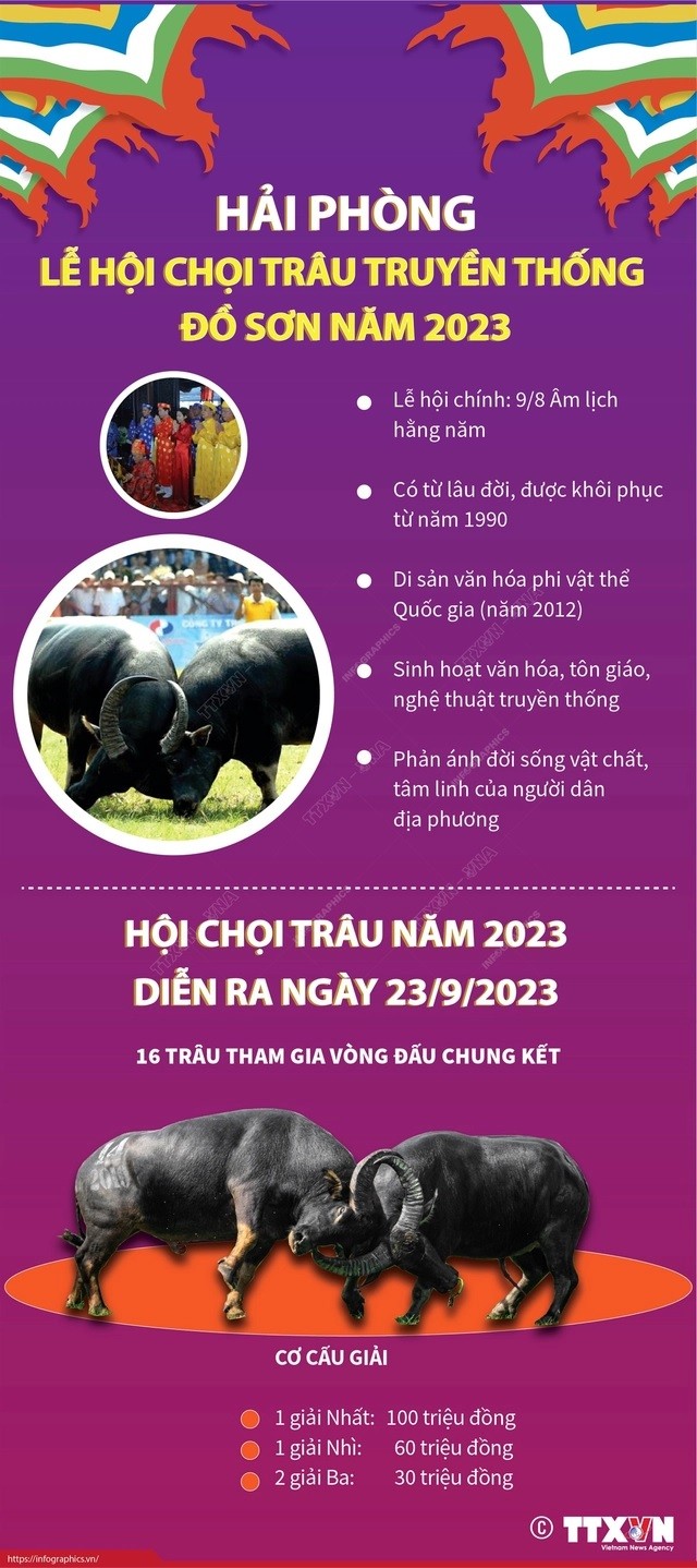 Hôm nay 23/9, bắt đầu diễn ra Lễ hội chọi trâu truyền thống Đồ Sơn năm 2023 Hôm nay 23/9, bắt đầu diễn ra Lễ hội chọi trâu truyền thống Đồ Sơn năm 2023