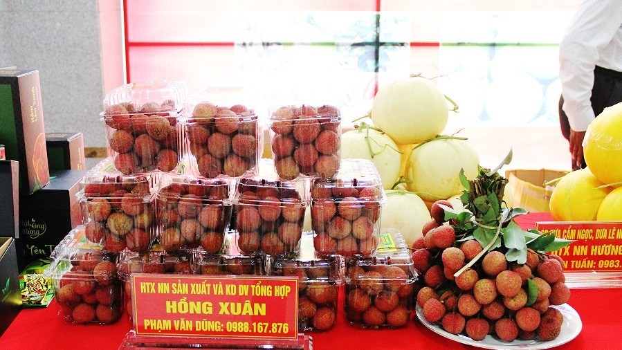 Bắc Giang tiếp tục khơi dậy tiềm năng, nâng cao chất lượng sản phẩm OCOP