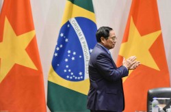 Quan hệ Việt Nam-Brazil: Đủ nắng hoa sẽ nở