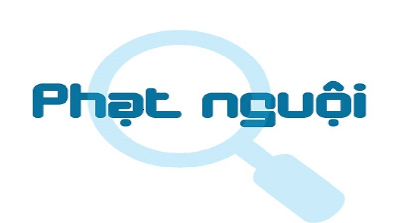 Hướng dẫn cách tra cứu phạt nguội trên ứng dụng TTDK nhanh chóng và chính xác