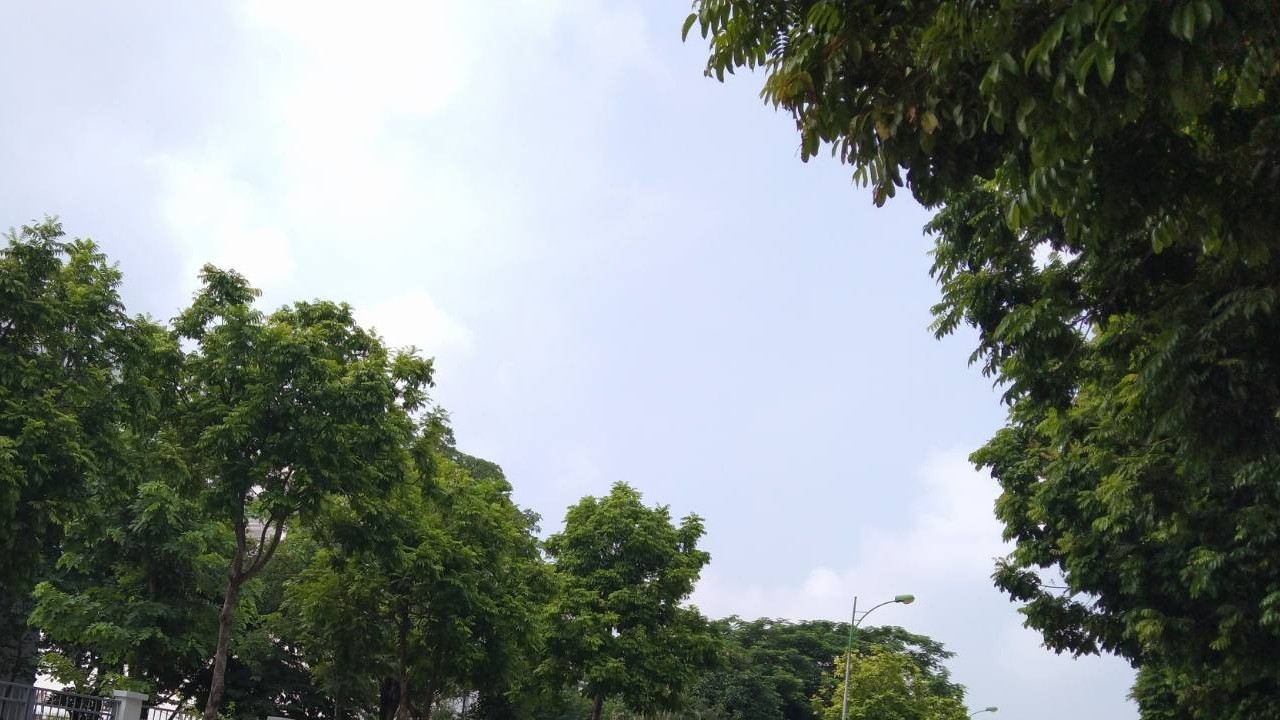 Dự báo thời tiết Hà Nội hôm nay 29/9/2023: Nhiều mây, sáng có mưa, mưa vừa, mưa to; sau mưa vài nơi