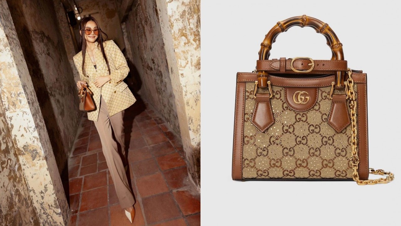 Bộ sưu tập túi xa xỉ của siêu mẫu Thanh Hằng