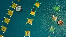 BES-Net: Cùng chia sẻ và hành động để bảo tồn đa dạng sinh học