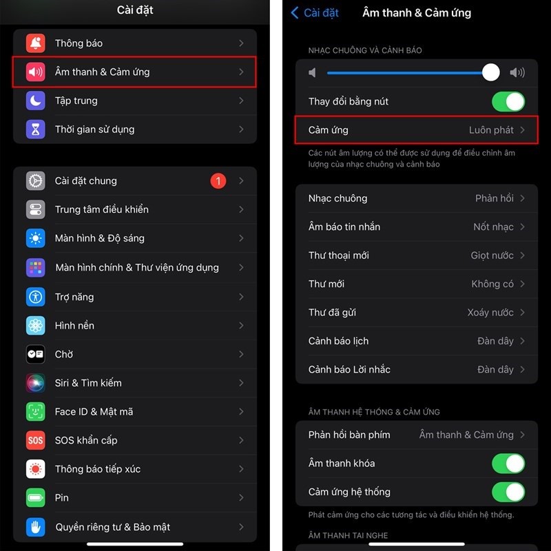 Dễ dàng tuỳ chỉnh chế độ rung trên iOS 17 theo ý muốn Dễ dàng tuỳ chỉnh chế độ rung trên iOS 17 theo ý muốn