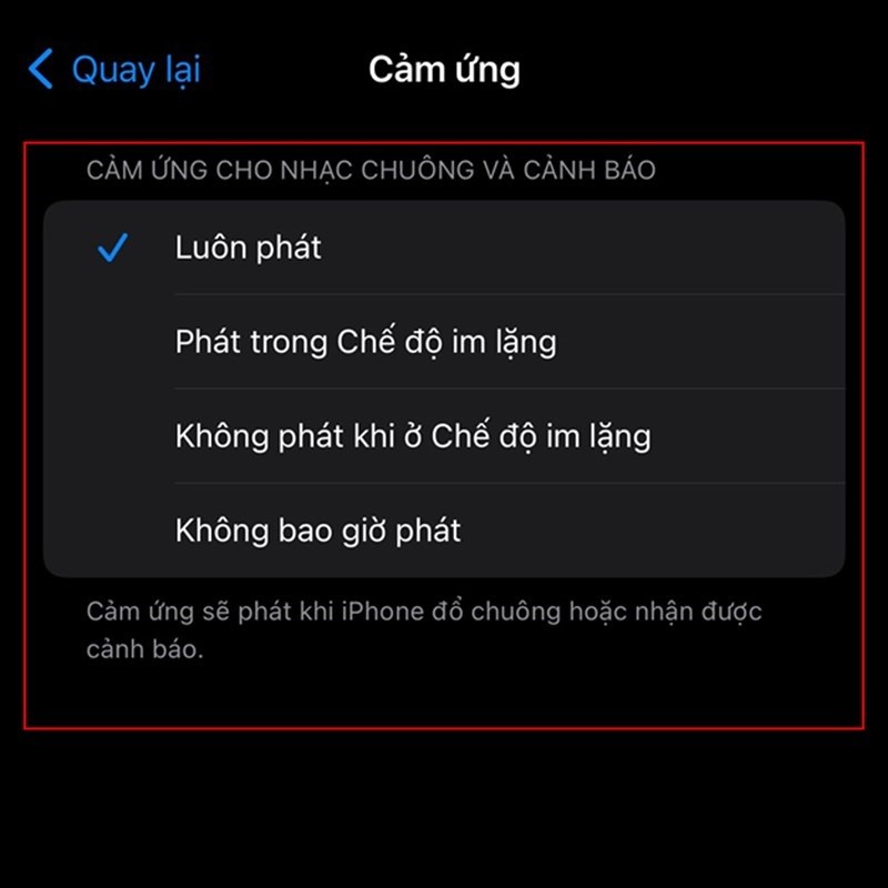 Dễ dàng tuỳ chỉnh chế độ rung trên iOS 17 theo ý muốn Dễ dàng tuỳ chỉnh chế độ rung trên iOS 17 theo ý muốn