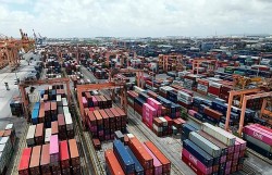 Tổng giám đốc Cushman & Wakefield: Logistics Việt Nam có thể trở thành 'con gà đẻ trứng vàng'