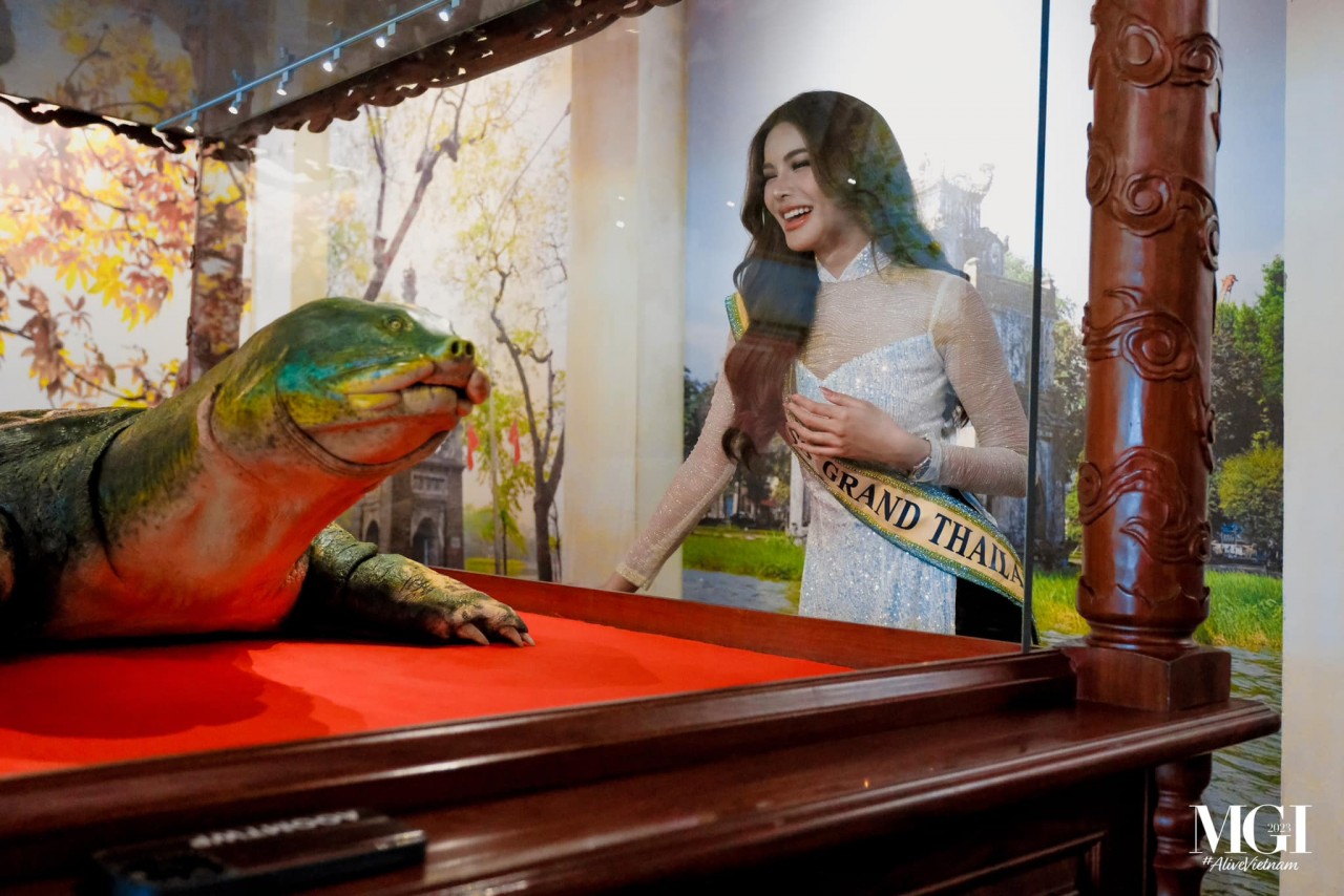 Hoa hậu Hòa bình quốc tế 2023: Hoa hậu Hòa bình quốc tế 2023: