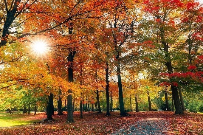 nhiêt độ mùa Thu