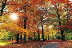 Mùa Thu Canada nhiệt độ cao bất thường; năm 2023 sẽ trở thành năm nóng nhất trong lịch sử nhân loại