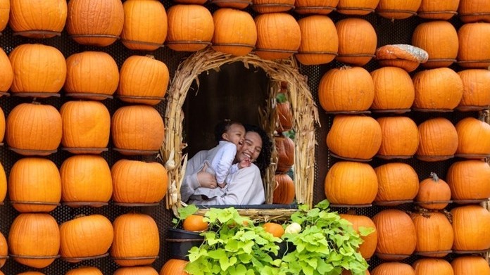 Mỹ: Ngôi làng độc đáo có những căn nhà được làm từ nhiều quả bí ngô