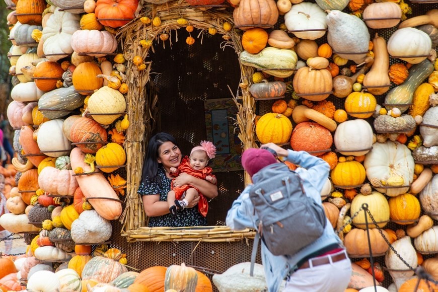 Du khách thích thú chụp ảnh trong những ngôi nhà được làm từ bí ngô. Du khách thích thú chụp ảnh trong những ngôi nhà được làm từ bí ngô.