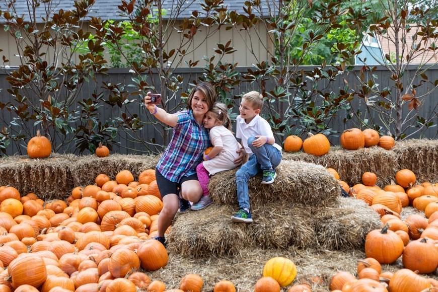 Mỹ: Ngôi làng độc đáo có những căn nhà được làm từ quả bí ngô Mỹ: Ngôi làng độc đáo có những căn nhà được làm từ quả bí ngô