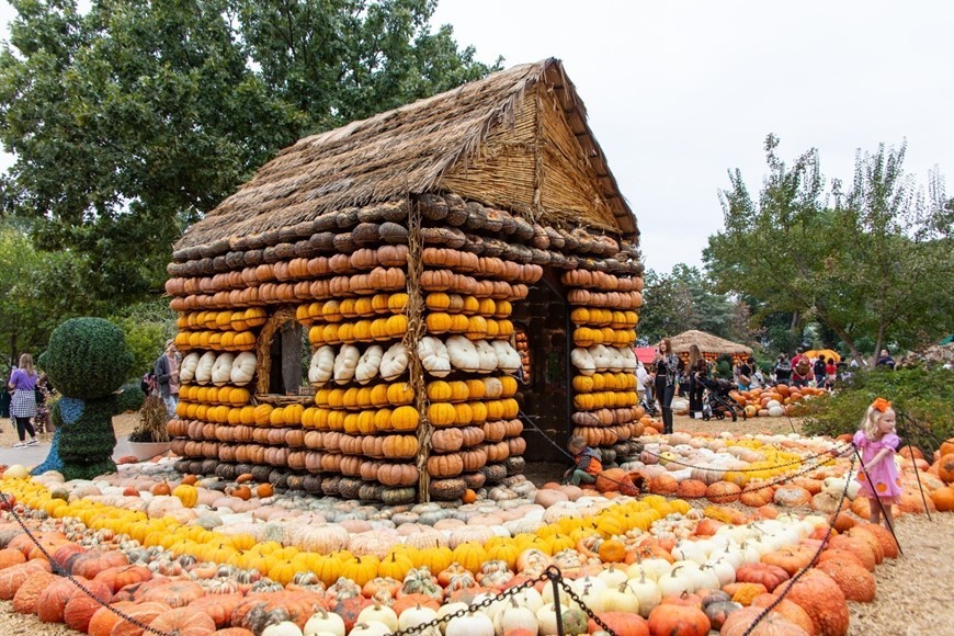 Mỹ: Ngôi làng độc đáo có những căn nhà được làm từ quả bí ngô Mỹ: Ngôi làng độc đáo có những căn nhà được làm từ quả bí ngô