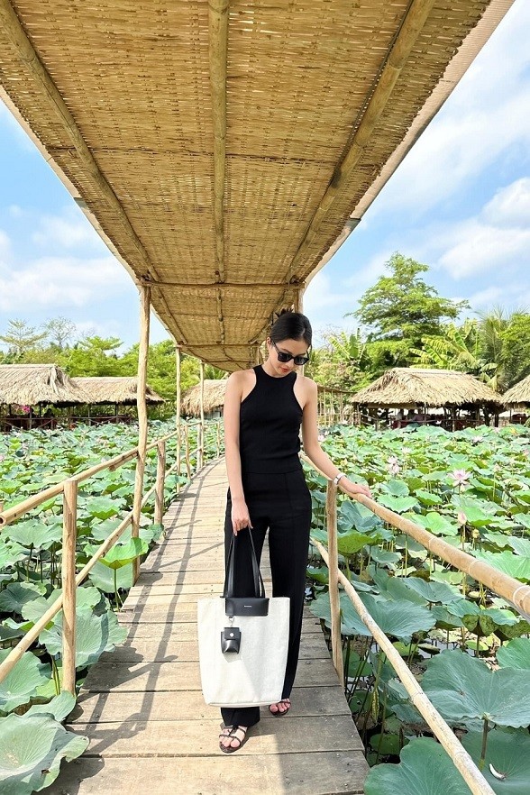 Đất rừng phương Nam: